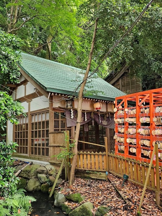 〔金澤稻荷神社〕 石浦神社旁的千本小鳥居 ⛩️