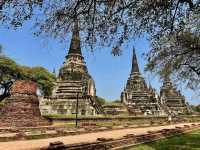 วัดพระศรีสรรเพชญ์  อยุธยา