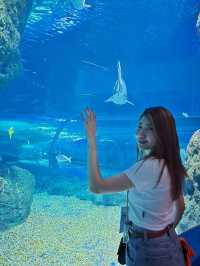 Sea Life Bangkok Ocean World ต้องมาให้ได้!