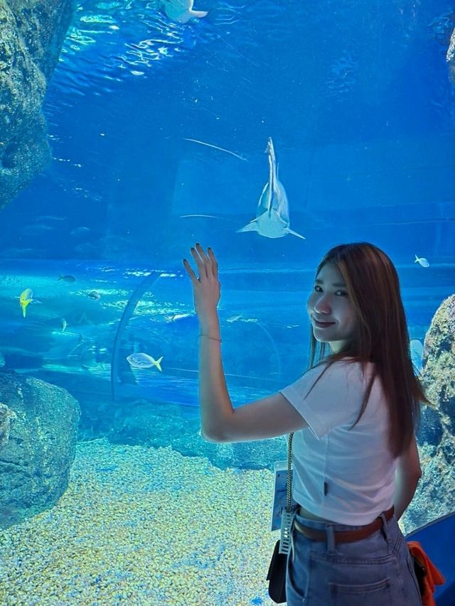 Sea Life Bangkok Ocean World ต้องมาให้ได้!