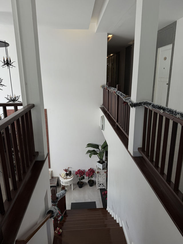 🌿 รีวิวเที่ยวเขาใหญ่ 1 วัน ฟีลต่างประเทศแบบใกล้กรุ