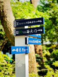 🌸 Discover Zuibaichi Park Shanghai | Ancient Poetry Garden & Tranquil Beauty