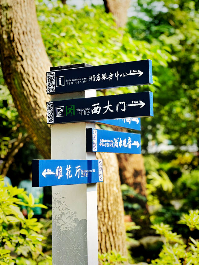 🌸 Discover Zuibaichi Park Shanghai | Ancient Poetry Garden & Tranquil Beauty