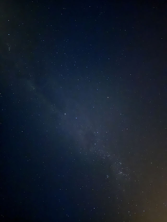 奧瑪魯 小藍企鵝跟完美星空