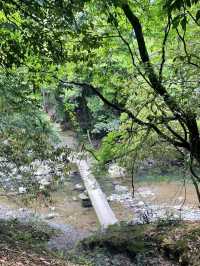  A Peaceful Hidden Hike in Kyoto – Arashiyama to Takao Nature Trail 