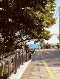 A Cozy and Convenient Base for Exploring Jeju