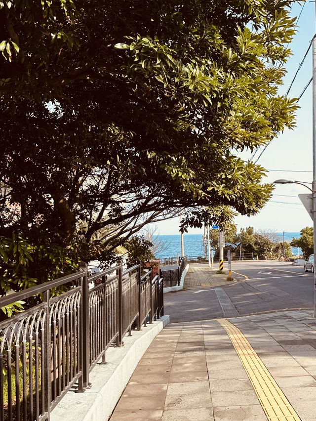 A Cozy and Convenient Base for Exploring Jeju