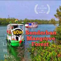 Sundarbans – Where the Forest Breathes with the Tides 🌿🐅