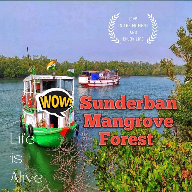 Sundarbans – Where the Forest Breathes with the Tides 🌿🐅