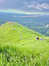 Nature’s Reset: Reconnecting with Simplicity at Broga Hill