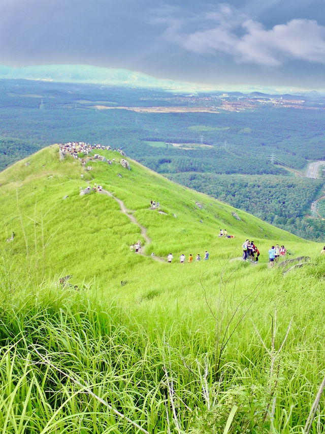 Nature’s Reset: Reconnecting with Simplicity at Broga Hill