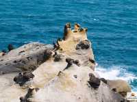 Heping Island Park