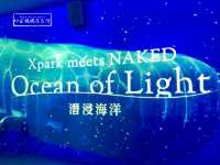 Xpark meets naked ocean light