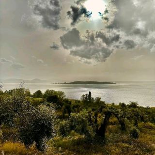 Umbria – Trasimeno Lake (Isola Maggiore)