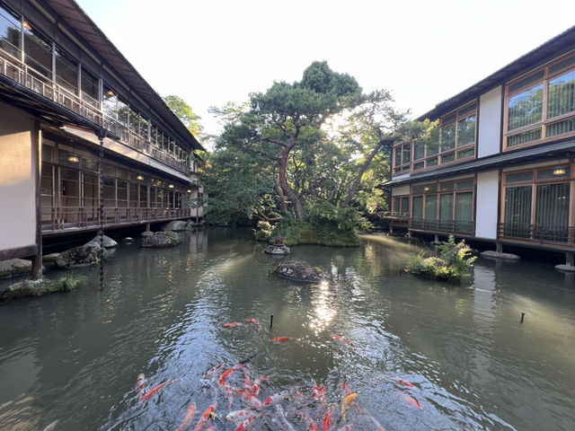 新井旅館 arai 修善寺溫泉