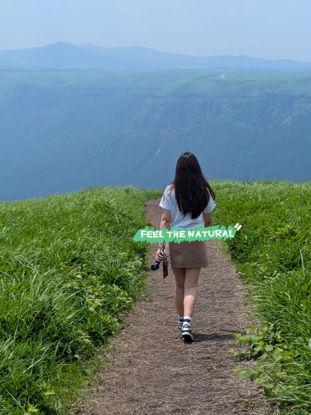 福岡🇯🇵周邊一日行程