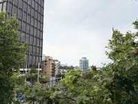 Darlinghurst's gorgeous views