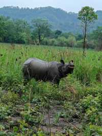 Chitwan National Park