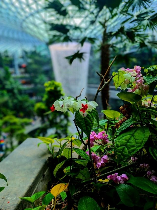 How Many Photogenic Angles of A Waterfall Can You Get?
