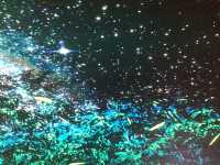 🌌Out Of This World! Part 1🌌