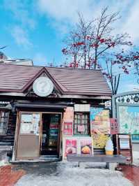 【北海道】小樽運河：歷史悠久的冰雪運河