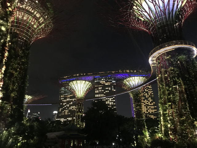 新加坡-濱海灣天空樹燈光秀
