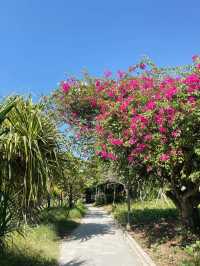 Cycling Along Sanur Beach: A Perfect Day Out