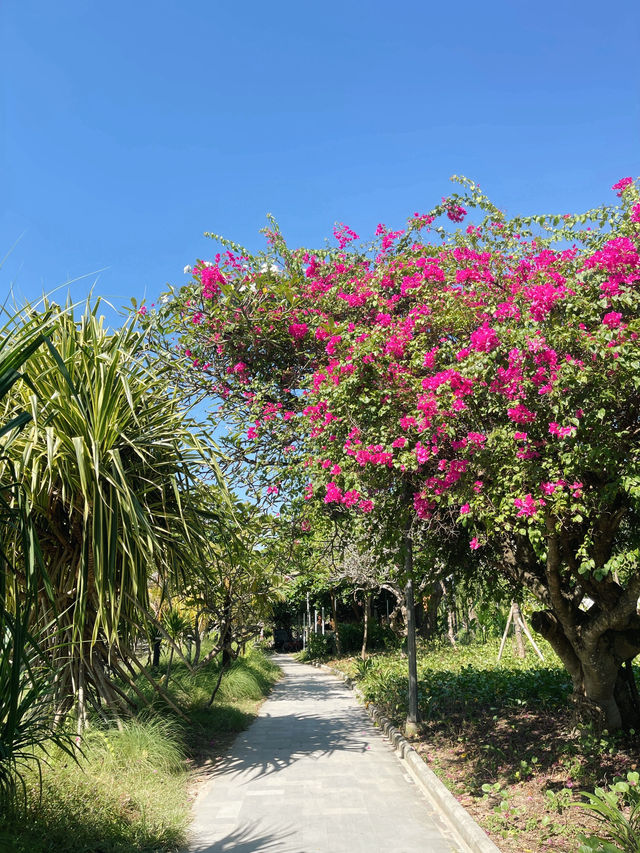 Cycling Along Sanur Beach: A Perfect Day Out