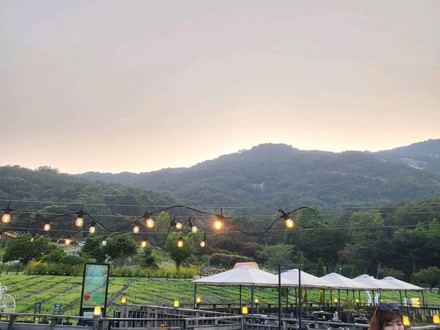 치유의숲 산들소리