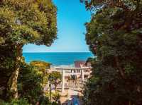 Summer Day at Ōarai Isosaki Shrine: A Breathtaking Oceanfront Escape