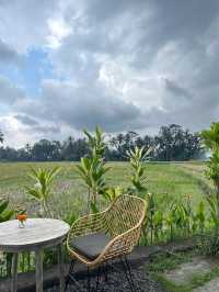 Sip Among the Paddy Fields, Huma’s Signature Flow