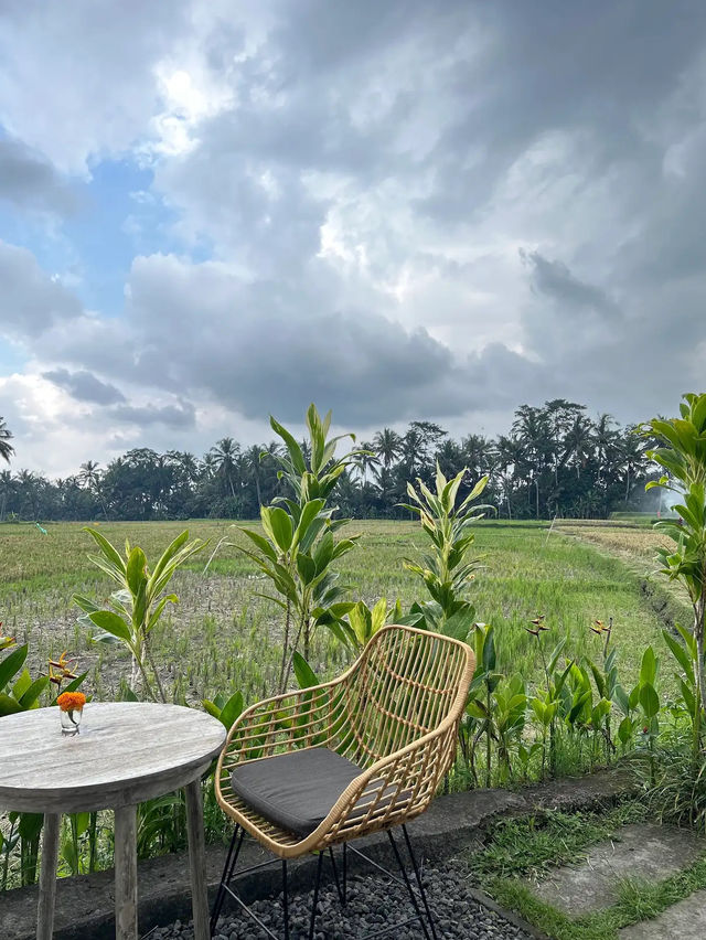 Sip Among the Paddy Fields, Huma’s Signature Flow