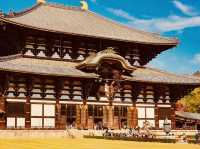 Summer Visit to Tōdai-ji Temple (東大寺) – A Majestic Encounter in Nara** 🏯🦌