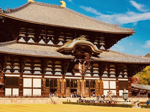 Summer Visit to Tōdai-ji Temple (東大寺) – A Majestic Encounter in Nara** 🏯🦌