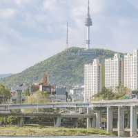 Chill Like a Local: Banpo & Jamwon Hangang River Vibes for Solo Travelers** 🌊🚴♀️