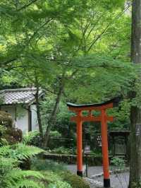 京都必去景點（八） 三千院🌳禪意之美
