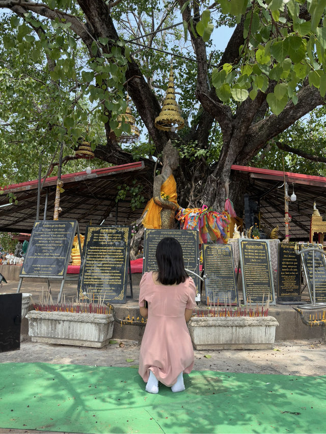พระพุทธรูปยืนมงคล วัดพุทธมงคล มหาสารคาม
