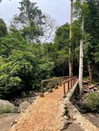 Jungle Hike at Khao Chamao Waterfall 