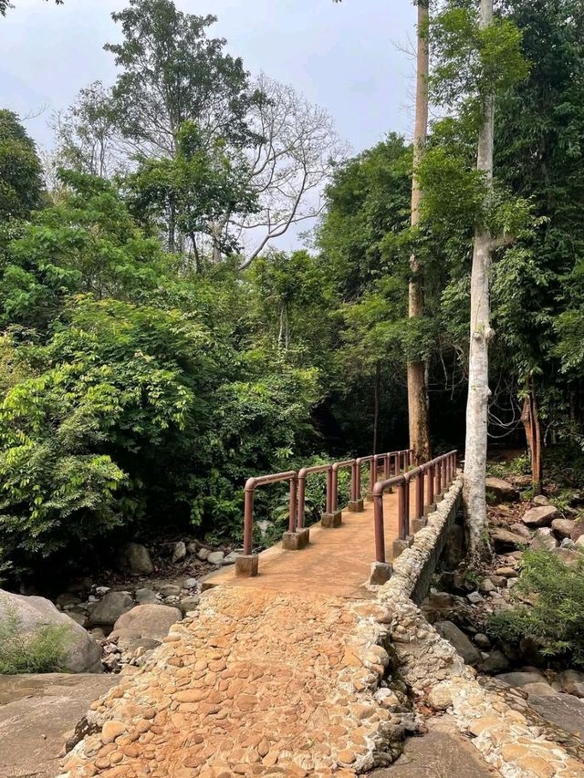 Jungle Hike at Khao Chamao Waterfall 