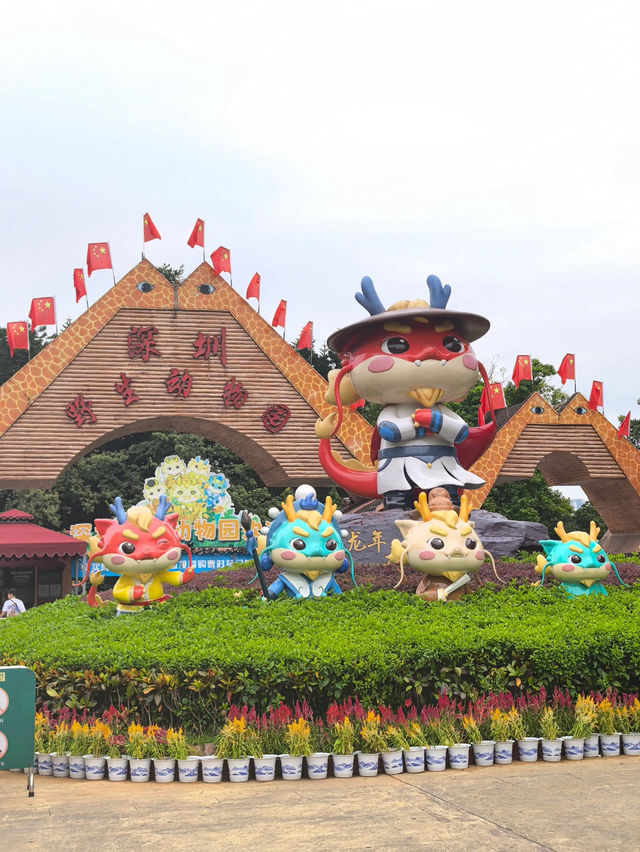 Shenzhen Safari Park 🐯 