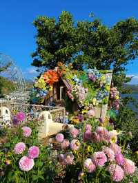 Dali’s Hidden Gem｜The “Monet Garden” in Yunnan 🎨🌸