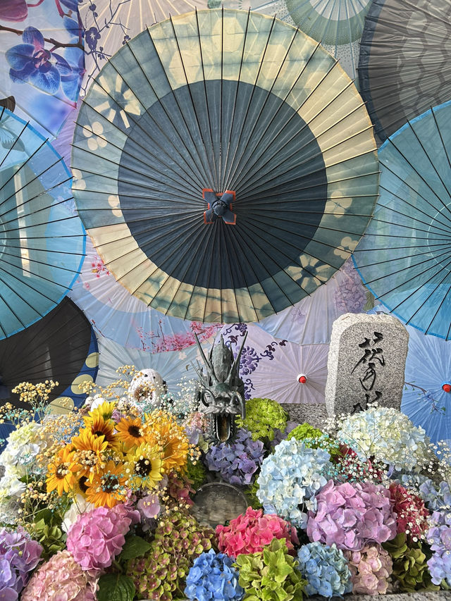 札幌　お花が沢山　写真映え♪札幌諏訪神社