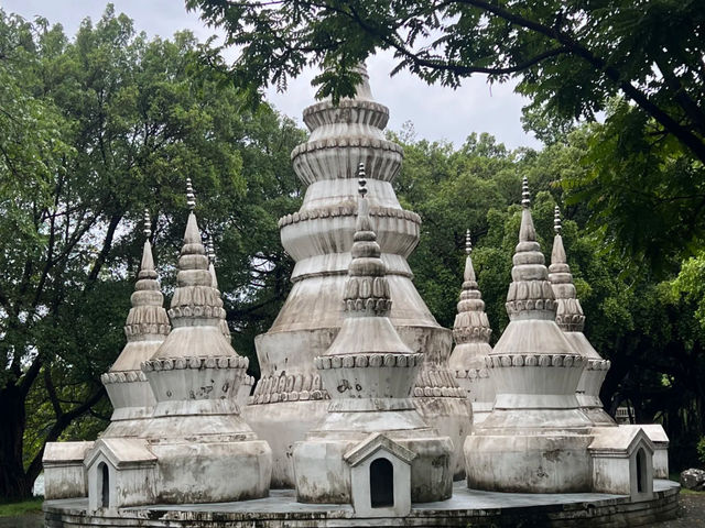 Zuohai Park ☀️ 