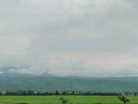 Nalati Jinling Resort：Grassland Expanse, Spirits Soar
