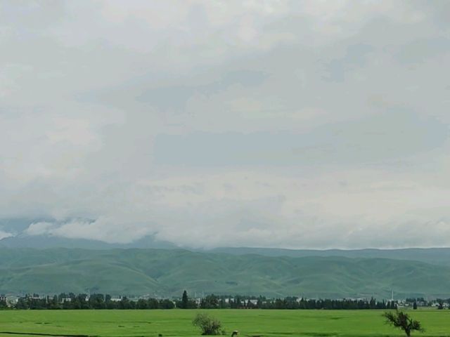 Nalati Jinling Resort：Grassland Expanse, Spirits Soar