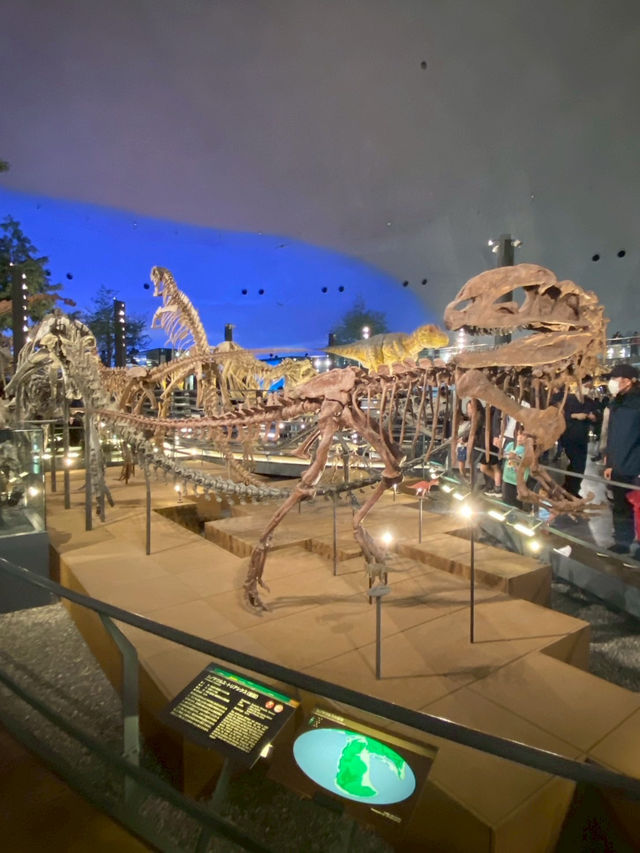 日帰り福井旅🦕