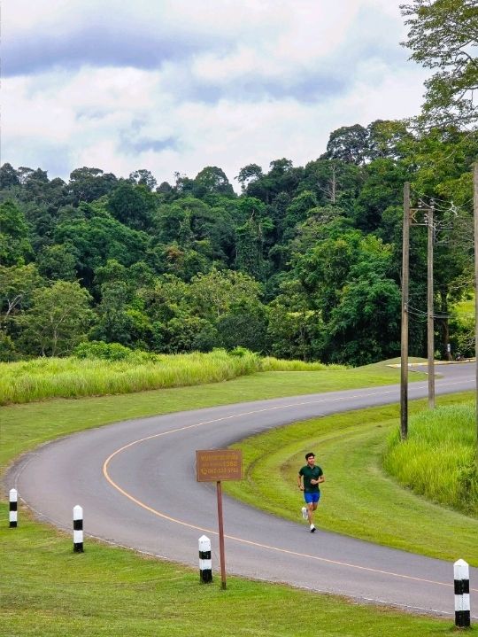 วิ่งสูดอากาศบริสุทธิ์แบบ 360 องศา ที่เขาใหญ่