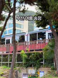 📍 부산 송정해수욕장 여름 여행기✨