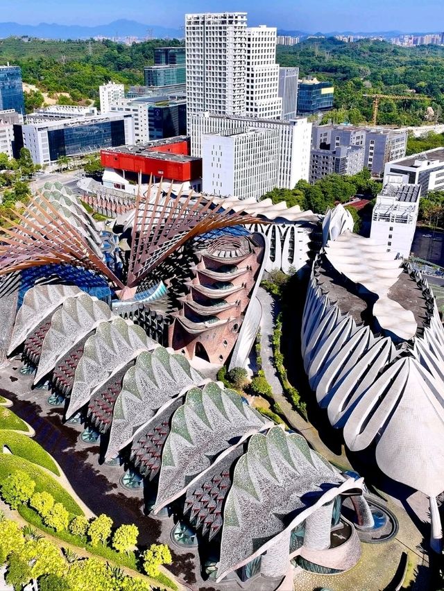 Wandering Marisfrolg’s Style Sanctuary in Shenzhen