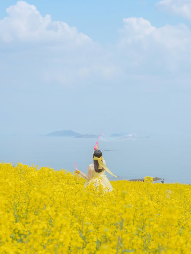 (실시간) 바다 위 노란빛 유채꽃을 가득 만날 수 있는 곳💛